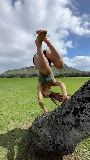 Found a nice tree for a couple flips 🌴 palm spins are my worst trick 😅 🎥 @ryanmford #apexsom #apexmovement #acro #parkour #backflip #tumbling #oahulife #gymternet #acrobatics #parkourgirl #freerunning | Taylor Carpenter