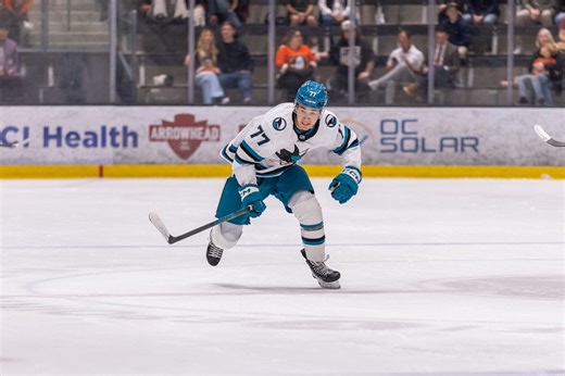 Sharks Release 2025-26 Training Camp Roster