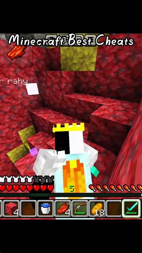 Minecraft cheats