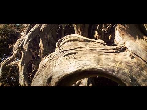 El Hierro - Tienes que venir aquí