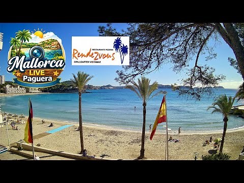 🌞🌊 Mallorca Webcam Playa Palmira / Rendezvous Garden Paguera | 4K | #Balearics #Mallorca #Livestream