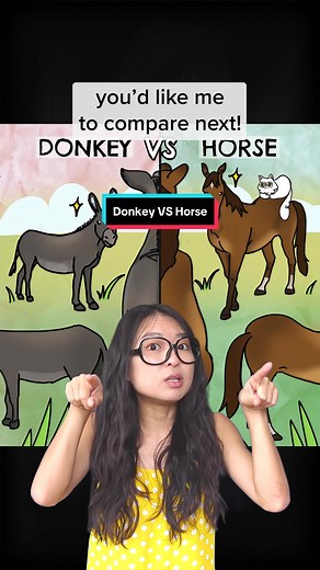 Me vs the man she asks me not to worry about #donkey #horse #VS #biogirlmj #justkeepthinking