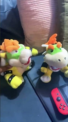 Bowser makes Junior cry￼