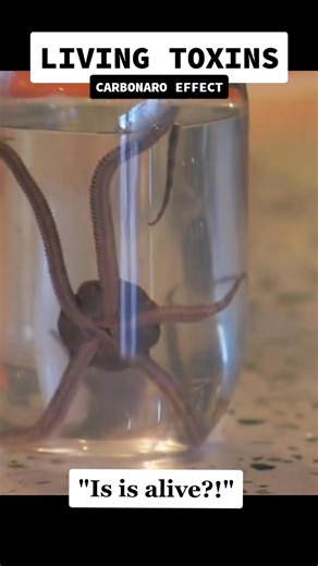 28K views · 436 reactions | Is is alive? #pranks #magic #fblifestyle | ViralBloom | Facebook