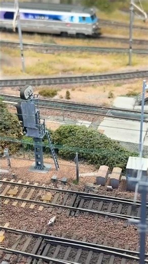 Savoie Modélisme 2025 #modeltrains #trains #modelrailway #diorama