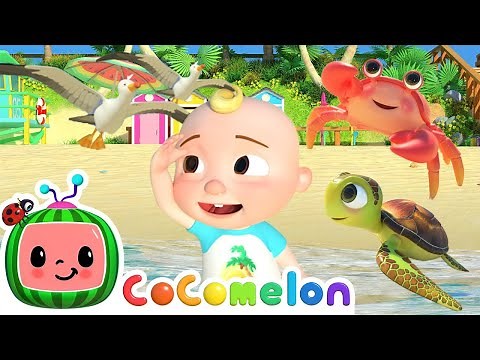 Finding Sea Animals at The Beach | Cocomelon | Kids Song | Toddlers cartoon show | Learning video