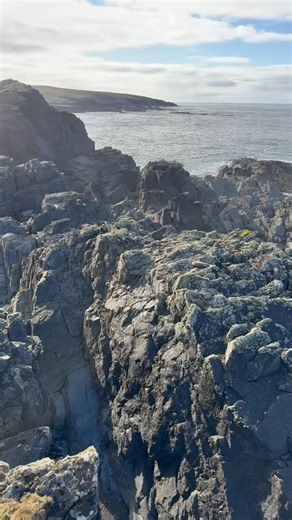 Dyed in the wool… The famous, bright yellow lichen (‘crotal’ in Gaelic) - that you often see almost glowing against the dark Hebridean coastline - was central to the early days of Harris Tweed®️ production. The vegetation is now protected, but at one time was scraped off the rocks and used to make a natural dye for colouring the wool. It still fills us with joy seeing little pockets of lichen basking in the spring sunshine! ☀️ #harristweed #outerhebrides #scotland #wool #clòmòr #lichen #yellow #