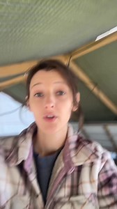 83K views · 2.2K reactions | You can start raising meat rabbits in cages or colony style! #MeatRabbits #HomesteadRabbits #RaisingRabbits #BackyardMeat #SelfSufficientLiving #RabbitFarming | Magabeleah | Facebook