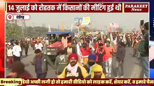 11 reactions | parakeet news | Parakeet News | Facebook