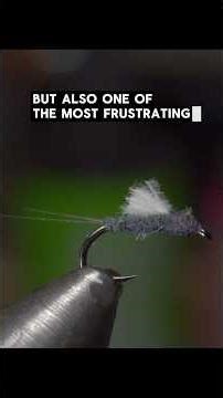 Stop Struggling With RS2 Tails (Do This Instead)