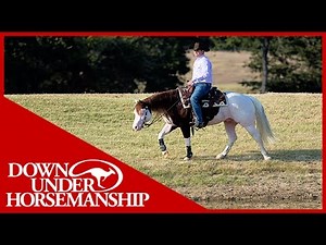 Clinton Anderson Presents: Titan a Legend in the Making, Lesson 4, Part 7 - Downunder Horsemanship