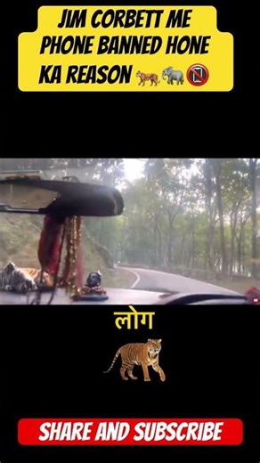 Jim Corbett me phone banned joke ka reason 📵🐅📍 #jimcorbett #shortsfeed #safari #wildlife #discovery