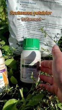 IMPORTANT TREATMENT after flowering on trees #garden #gardening #fruit #pestcontrol #fungicide