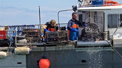 Afternoon Everybody Cheers Jake and crew🫡 | MR FISH