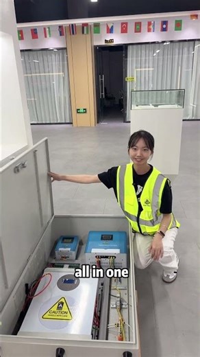 All-in-One Outdoor ESS: The Ultimate Pre-Wired Solar Cabinet Solution#SolarSystem#AllInOneSolar