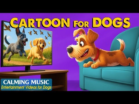 Dog Cartoon: Top Entertaining Videos for Dogs When Home Alone 🎶 Anti-Anxiety Music for Dogs