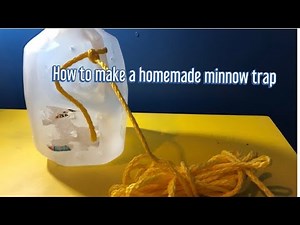 How to make a homemade minnow trap.