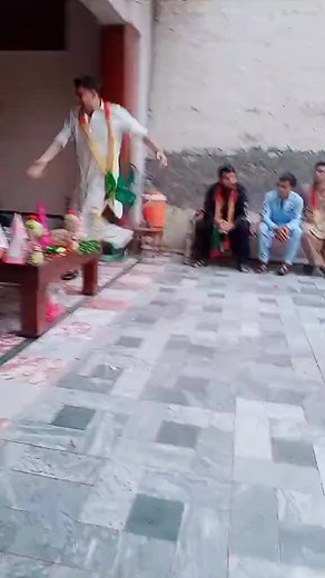 Real Cheetah Funny Video Compilation