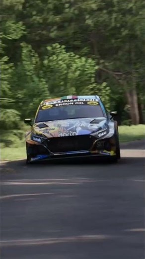 WRC Crash Rally Hyundai i20 #shorts #rally #rallye #hyundai #assettocorsarally #assettocorsa #racing