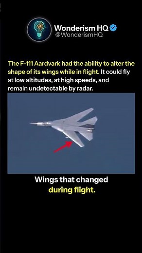 The Fighter Jet That Reshaped Itself in the Sky
