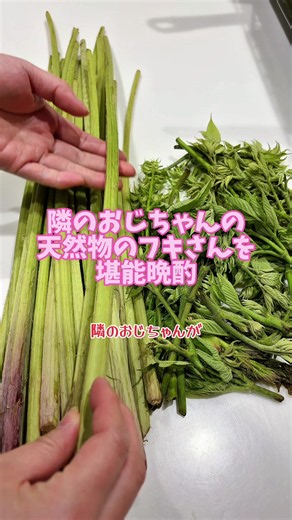 隣のおじちゃんが、天然物のフキさんを沢山持ってきてくれました。 本日はシンプルなフキ料理で晩酌です。 華やかな香りと軽やかな歯応え。 年を重ねるごとに大好きになったフキさんを存分に堪能です。 ウドの穂先レシピは次回のお楽しみ！ #簡単レシピ #晩酌 #山形 #山菜 #おつまみレシピ
