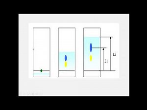 méthode d'etude les acides aminés