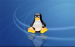 Python入门系列：玩转Linux操作系统