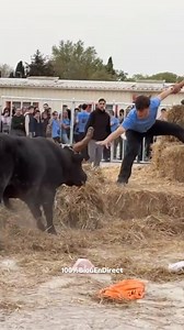 Saint Martin de Crau Course au plan manade Vallat 04.04.2025 | 100% Bioù en Direct