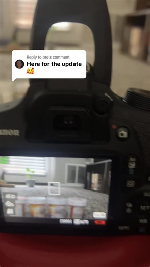 Sorry, Mom Podcast on TikTok