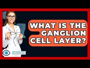 What Is The Ganglion Cell Layer? - Optometry Knowledge Base