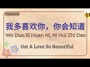 我多喜欢你 你会知道 (Wo Duo Xi Huan Ni Ni Hui Zhi Dao) Ost A Love So Beautiful || Hanzi & Pinyin Lyrics