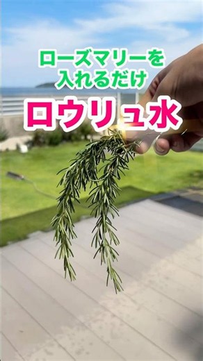 Easy DIY Rosemary Sauna Water
