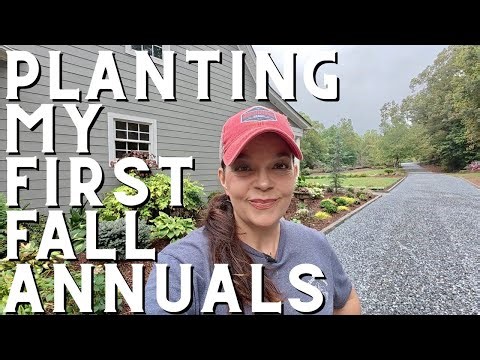 First Fall Planting of the Season | Windowbox, Double Pansies & More