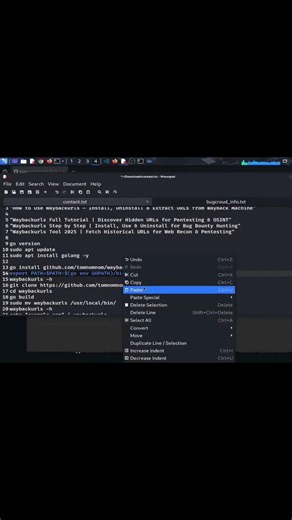 Waybackurls Full Tutorial | Discover Hidden URLs for Pentesting & OSINT
