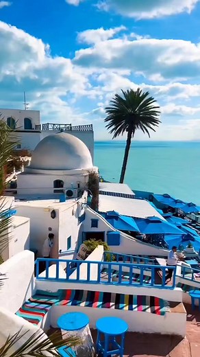 #AFRICAN #KARATE_CHAMPIONSHIP #TUNISIA_2024🇹🇳 | Tunisia Karate Stars