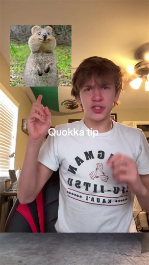 #quokka | quokkas soccer