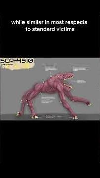 SCP-4910 EXPLAINED