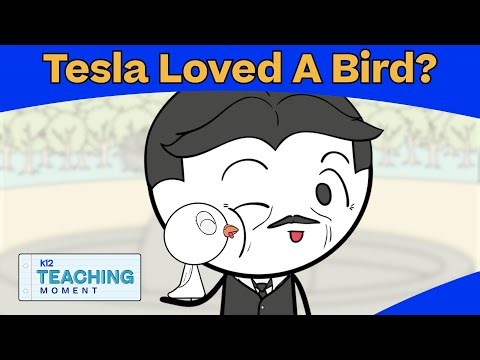 Nikola Tesla’s Pigeon Story: The Strange Bond Between a Genius and a Bird