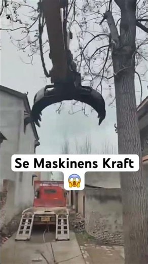 🚜 Utrolig Gravemaskine Ødelægger Træstykker 😱