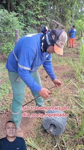Wheelbarrow for unrolling barbed wire