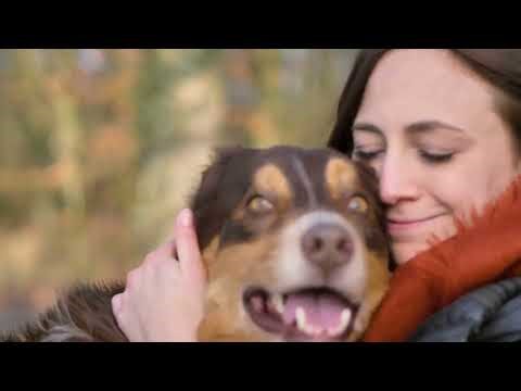 SmartBones — The Smarter Way to Chew