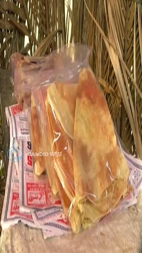 54K views · 631 reactions | Todadevu Rare and traditional food! | #CandidKannadaReels | Candid Kannada | Facebook