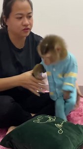 That's hilarious! Lyly the monkey discovers how funny she looks in the mirror. | LyLy News