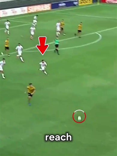 Amazing Soccer Goals You Must See