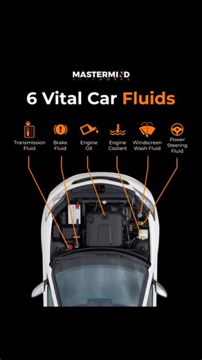 2K views · 15 shares | 헩헶혁헮헹 헖헮헿 헙헹혂헶헱혀 Knowing and understanding the vital fluids in a car is important because they ensure the vehicle runs smoothly, safely, and efficiently. Regularly checking and maintaining these fluids helps prevent breakdowns, costly repairs, and potential accidents.  858 Balagtas St., Addition Hills, Mandaluyong #mastermindautoworks #maintenance #premium #carfluids #fluids | Mastermind Autoworks | Facebook