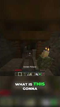 Minecraft's CRAZIEST Mod! You Won't Believe This!