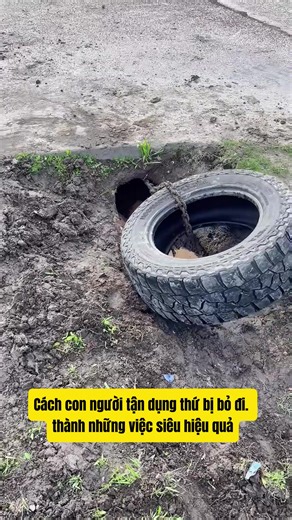 Khám Phá Sáng Tạo Với Chiếc Lốp Bỏ Đi