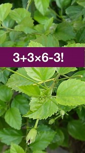 Simplify Bodmas #bodmas #math #satmath #SATPrep #mathtutorial #exams #boardexams #mritunjaylectures #grade6 #Grade5 #Grade7Students 🥉🥇🧶🏆🏅 | Mritunjay Lectures