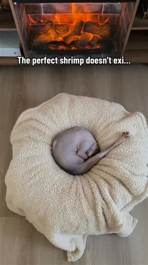 NoodyBums on Instagram: "The ultimate shrimp unlocked 🍤 #sphynx #cat #hairlesscat #shrimp"