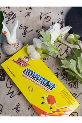 Natural Enemies of Cockroaches Explained